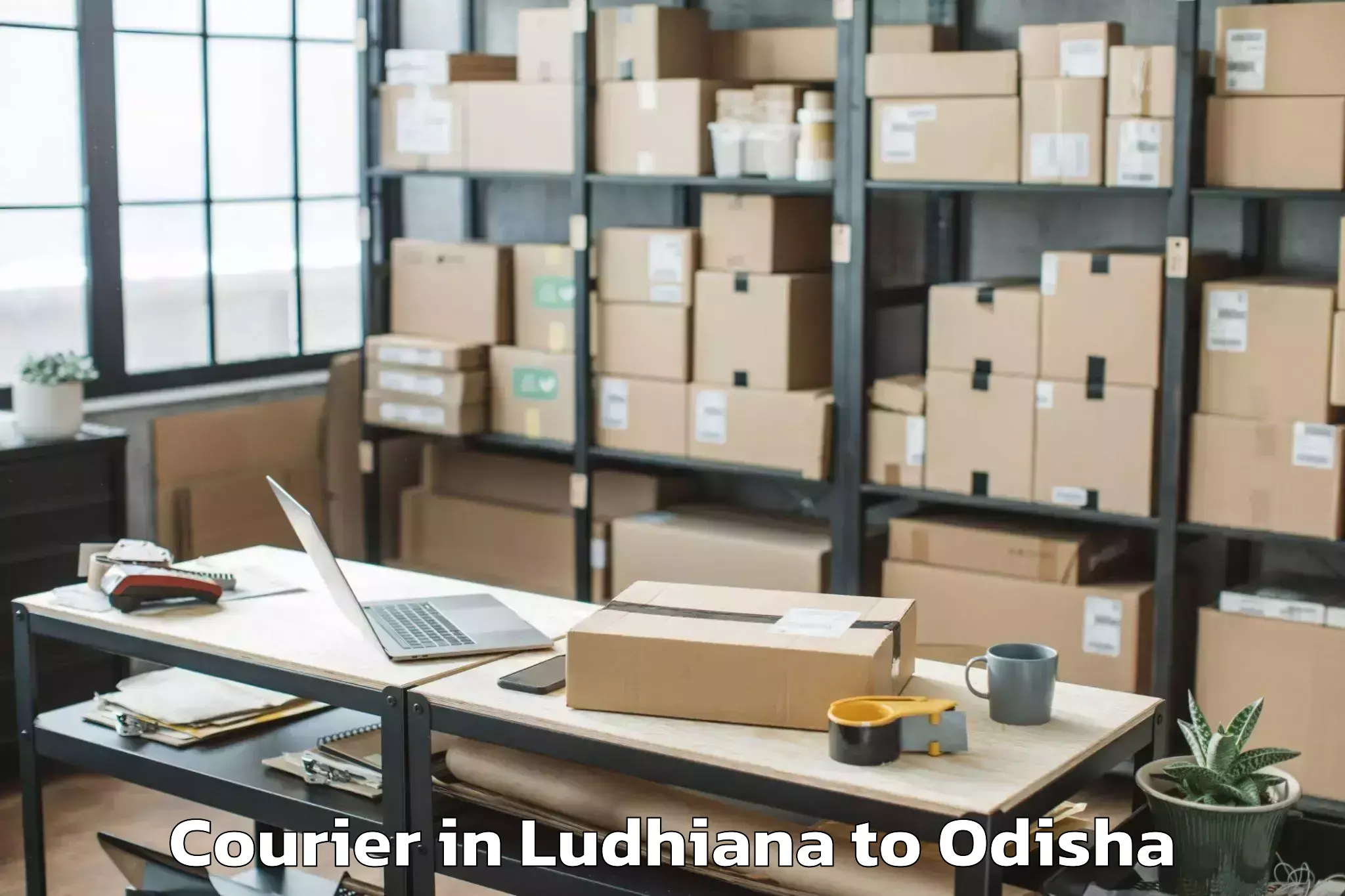 Ludhiana to Karanjia Courier